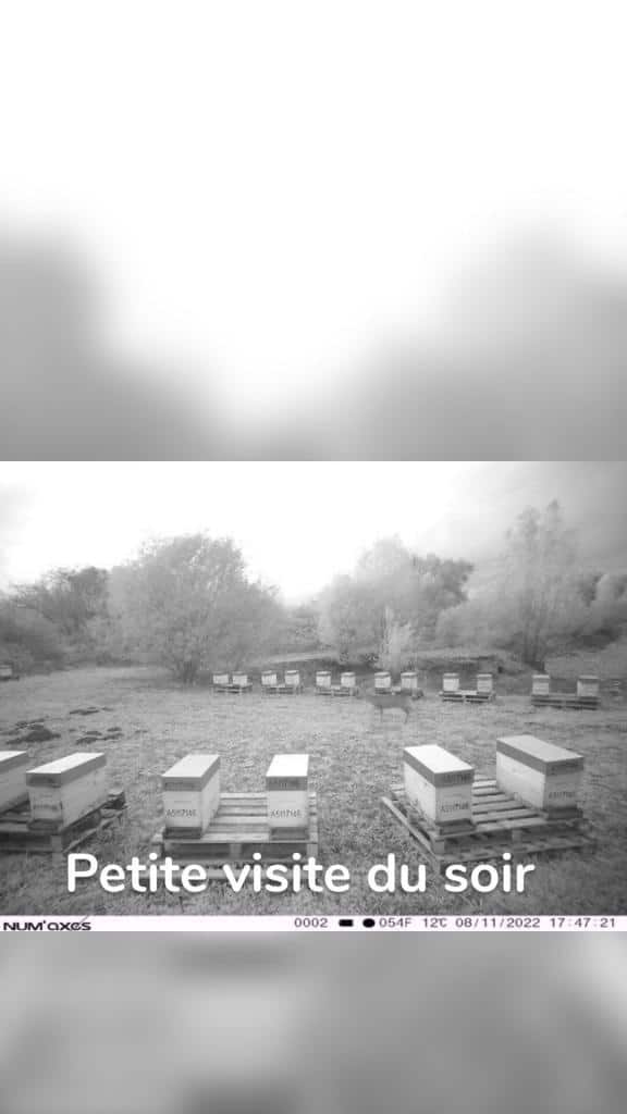 Petite visite du soir