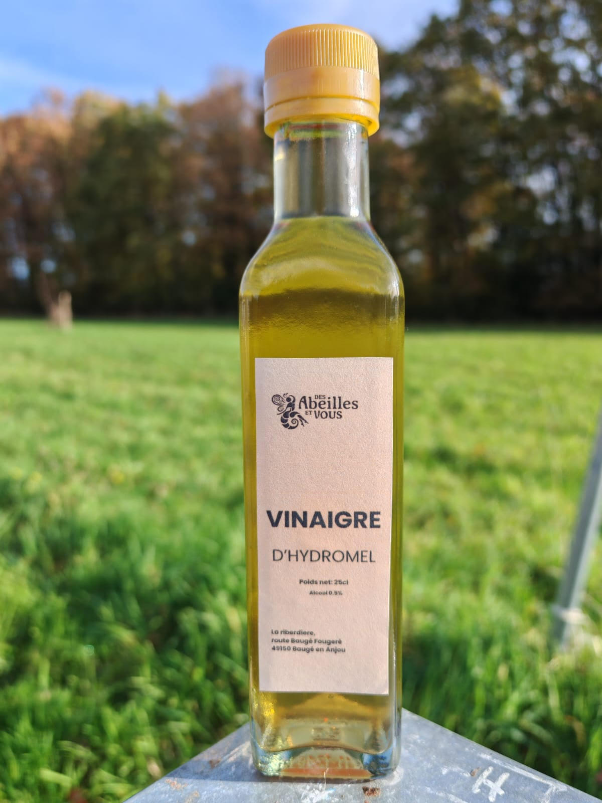 vinaigre d'hydromel