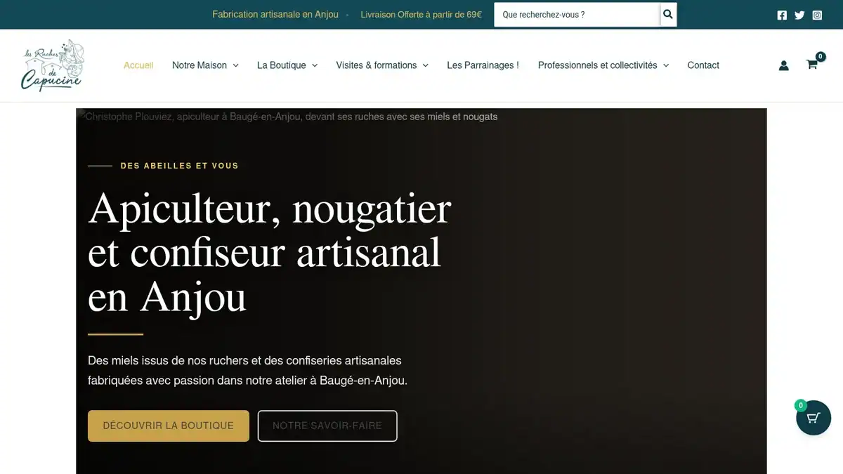 Capture de la page d’accueil de Les Ruches de Capucine